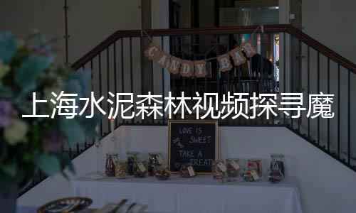 浙江水泥艺术涂料价格、天宁区水泥价格查询、新乡水泥楼梯价格、呈贡沙子水泥价格