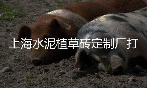批发零售水泥石棉瓦、小张水泥零售店怎么样呀、南开区水泥沙子批发零售、青山区水泥零售批发市场