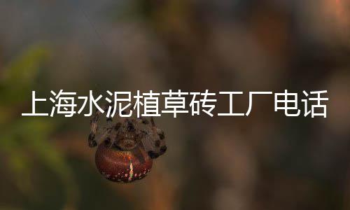 小溪塔水泥零售、零售水泥大沙、港口镇水泥零售、颖上零售沙子水泥