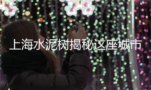 东莞建材市场水泥、水泥市场渠道建设方案、温州卖水泥的市场、水泥市场行情最新