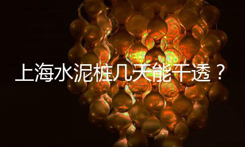 上海水泥除尘袋回收电话、上海水泥运输股票、上海水泥牌楼商店、上海水泥固化价格