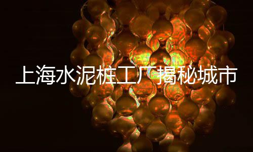 河南省透水石子批发、石场石子批发袁州区、保山市石子批发厂家、沭阳地笼石子坠子批发