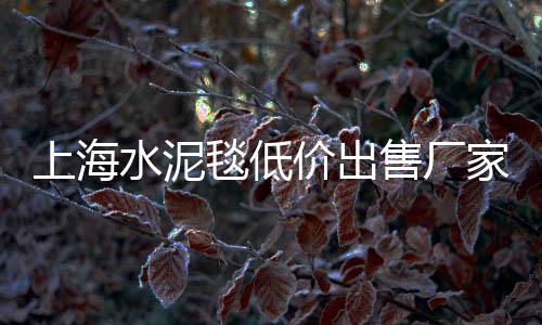 水泥远洋货轮价格、南宁圆孔水泥砖价格、陕西水泥库滑模价格、宁波水泥下水沟盖板价格