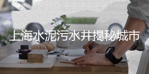 保定石子批发零售、仁寿石子零售电话多少啊、板桥批发零售黄沙石子店、京东火山岩石子零售