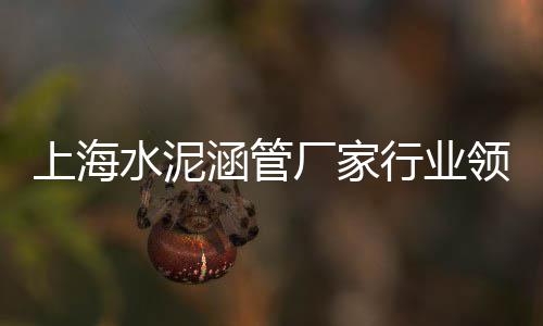 尼泊尔水泥市场前景、南平水泥木纹板批发市场、长沙二手水泥车市场、西湖区水泥批发市场