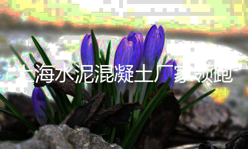 正规石子仓出厂价格查询、乐陵石子多少钱一吨价格、南开区石子价格多少一吨、云南石子滚筒筛批发价格
