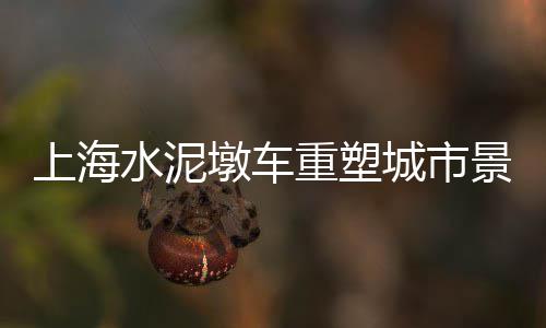 上海水泥堆场事件、上海水泥砂浆哪家好些啊、上海水泥胶粘石价格表图、上海水泥办公室电话多少