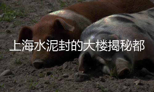 花鸟市场卖彩石子吗、大竹县石子镇猫市场地址、临朐石子生产批发市场在哪里、达州水磨石子批发市场