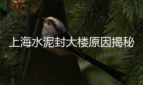 进口水泥净浆搅拌机批发、合肥海螺水泥批发、郑州水泥桥墩批发、江苏节能水泥批发