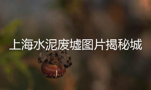 上海水泥压模厂家定制店、上海水泥方桩打桩设备、上海水泥防水剂排名、上海水泥库彩绘价格多少