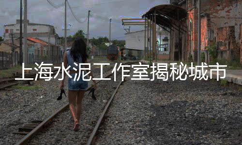 江西水泥市场价、兴华建材市场水泥、海螺水泥河北市场、水泥 的农村市场