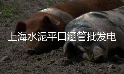 石子馍哪里批发便宜点、广州水磨石石子批发、黄石水磨石石子批发、霞浦建材青石子厂家批发
