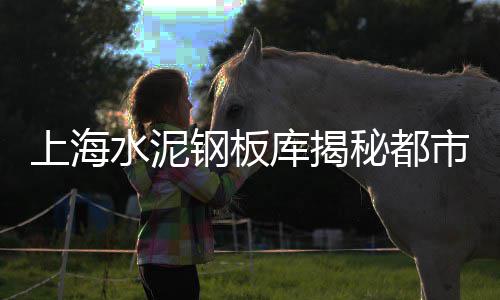 上海水泥抹灰砂浆密度、上海水泥top、上海水泥封、上海水泥豪宅