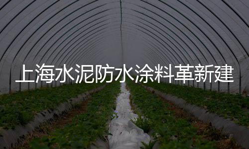 上海出售黄沙便宜、上海红砖黄沙销售公司有哪些、上海黄沙港桥钓鱼的地方、上海两吨黄沙多少钱