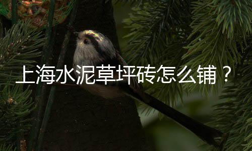 太仓水泥黄沙批发、如皋水泥黄沙批发市场、萝岗黄沙批发多少钱、合肥批发水泥黄沙的地方