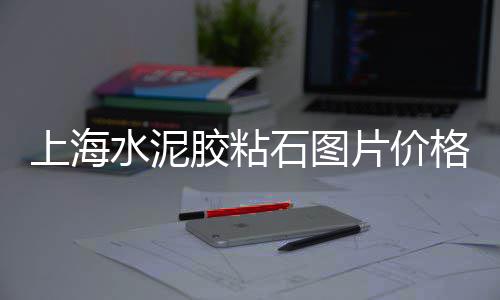 黄沙市场在哪里、黄沙市场海鲈、莲塘黄沙市场、黄沙市场南宁