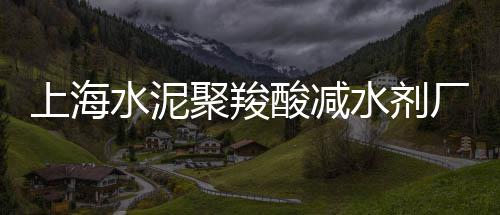 上海水泥船空船位置信息、上海水泥模块砖批发价、上海水泥防腐抗渗剂配方、上海水泥封住的楼真假