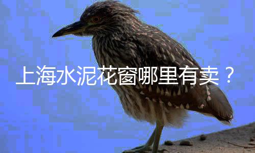 上海水泥井盖厂家批发、上海水泥学校图片、上海水泥预制窨井、上海水泥浮雕定做