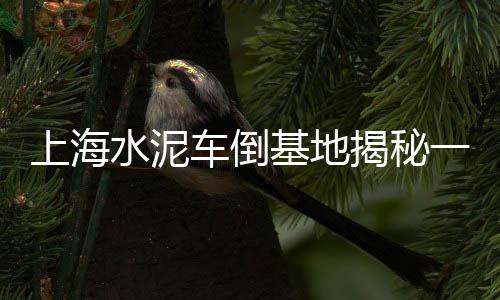 东城零售水泥价格表查询、水泥零售宜良、龙岩水泥零售、张掖水泥零售