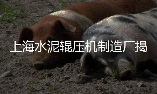 黄沙钉螺批发厂家电话号码、黄沙水泥批发厂地址电话、从化黄沙批发多少钱、广州黄沙批发公司地址