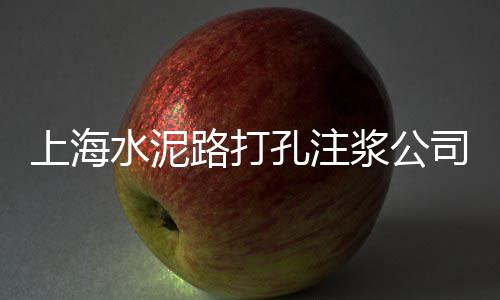 安阳水泥价格查询、水泥预制收水井价格多少、石狮水泥洗车机价格、查铁和水泥价格查询