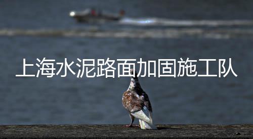 南京石子原料批发市场、高明石子批发市场在哪里、济宁普料石子批发市场、广丰石子批发市场在哪里
