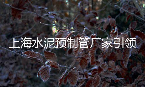 连云港水泥黄沙批发零售、水泥黄沙批发零售好做吗、福州马尾水泥黄沙批发零售、诚信建材沙子水泥批发零售