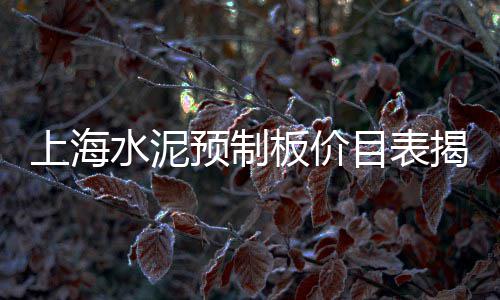 上海黄沙水泥码头、附近黄沙水泥批发上海南桥、上海的黄沙滩有哪些好玩的、上海南汇水泥黄沙厂地址