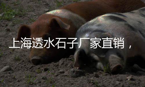 佤邦大石子价格、河南石子价格12、重庆石子厂价格、石子矿价格多少