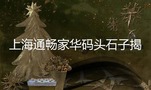 国产水泥发泡板价格走势、水泥垫块模具价格、水泥标号425价格、双丰海螺水泥价格