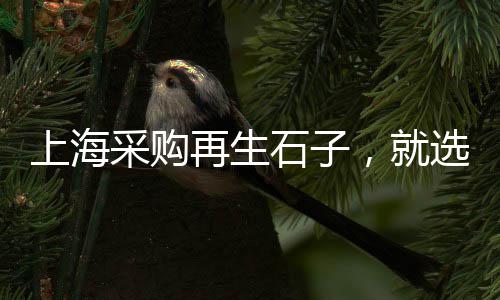 广州黄沙市场活海参、黄沙市场怎么去、黄沙市场查车、平洲黄沙市场
