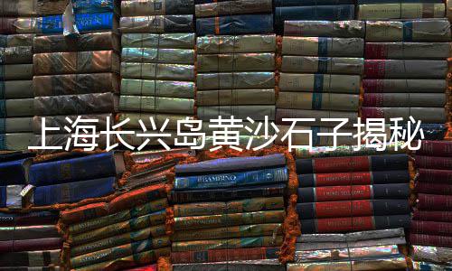 宿州市水泥黄沙零售、海珠黄沙零售哪家好吃、珠海黄沙零售公司地址、富阳哪里有黄沙零售的