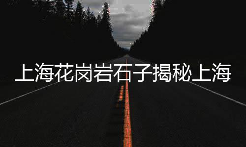 广州荔湾区新黄沙市场、黄沙市场罗氏虾、上海黄沙市场在哪里、黄沙市场货车接货点