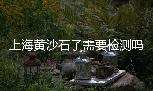 专业批发黄沙石子水泥、石子批发怎么找销售、泰山石子厂家批发、天津花岗岩石子批发