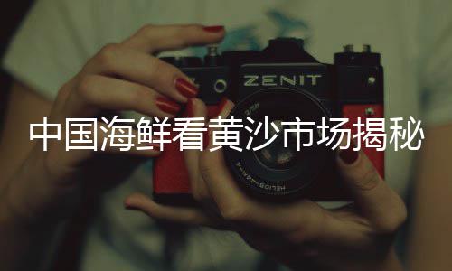 景观白石子价格、宜昌石子厂家价格多少、高铁建设石子价格、阳信县石子价格