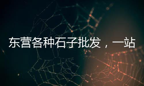 最新的水泥建材市场、二手水泥市场、专用水泥市场容量、中国水泥市场需求