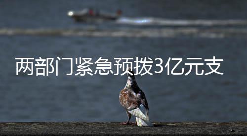 曲阜青石石子批发厂、北京沙子石子批发、建材沙子石子批发、广东白石子批发