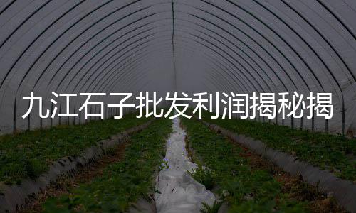 上海水泥厂现在的情况、今日上海水泥价格行情、上海水泥泵车租赁公司、上海水泥故障诊断特点