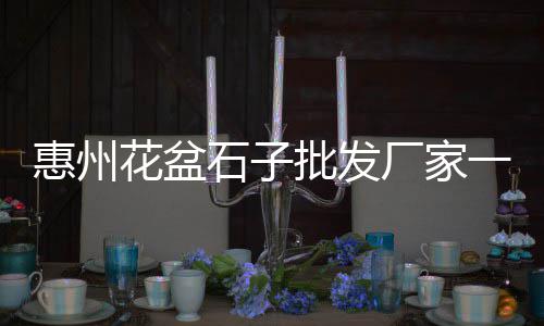 上海市石子1213价格、上海景观石子哪里买的到、上海水磨石子厂家电话、上海安山岩石子生产厂家