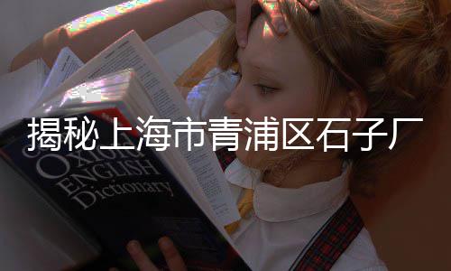 郑州收购青石子价格、虎丘区石子价格、贺州花岗岩石子价格、海口秀英区出售石子价格