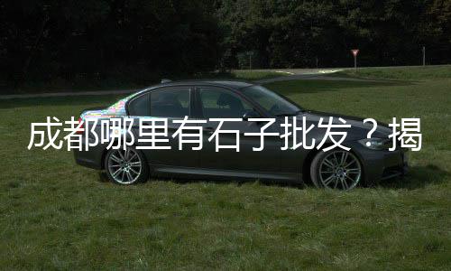 山西夜光石子批发、露石子道路修复砂浆批发、武汉批发花园小石子、福建透水路面石子批发