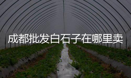泉港柔性水泥管批发商店、临夏水泥隔墙板批发价格、衡水水泥输送机批发价格、阳信硅酸盐水泥批发零售