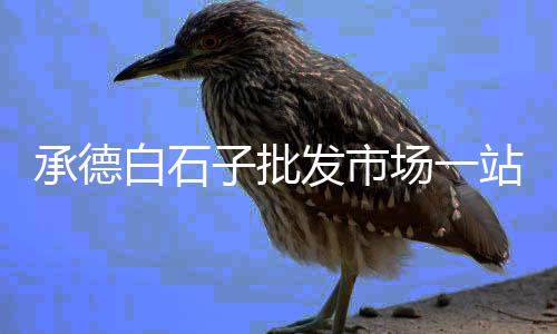 西安泾阳石子批发市场、锦界石子批发市场地址查询、辽源石子批发市场在哪个位置、天心区石子冲菜市场地址