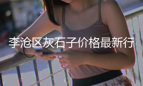 洛阳零售沙子石子、中山市户外石子批发零售厂家、广元沙子石子零售店在哪里、黄沙水泥石子红砖批发零售