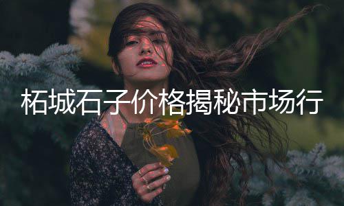舟山石子沙子批发零售、大荔石子馍零售批发地址、临城零售石子的地方在哪、岳龙镇石子批发零售
