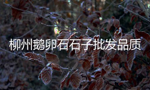 南召水泥批发市场、华新水泥市场分析、新基建水泥市场、水泥乳胶漆市场