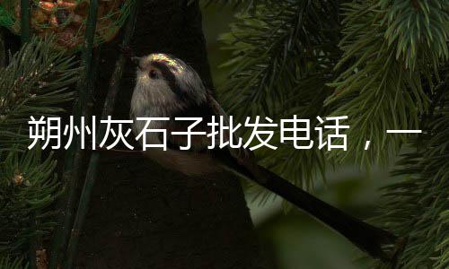 上海磨圆石子、上海出售石子厂家地址查询、上海普通石子市场价、上海送石子车怎么收费