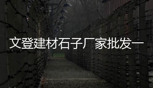 济南批发石子市场地址查询、石子岭市场打架事件、合肥石子砂石市场在哪、晋中石子市场地址