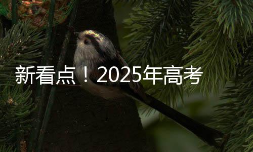 大连耐火水泥批发、沾化水泥方柱批发、沙子水泥批发海口、女强人水泥批发