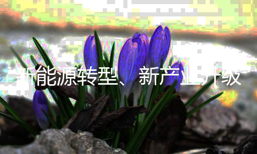 惠州水泥混凝土破碎价格、安徽水泥助燃剂价格、东莞复合水泥板价格、洛江白水泥价格